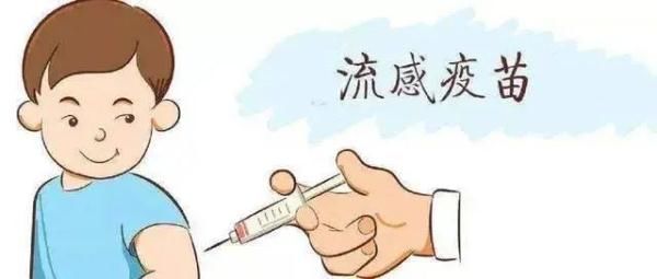 接种|流感疫苗来了！哪些人群优先接种？接种注意事项有哪些？