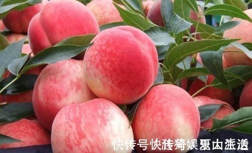 好吃|桃子虽好吃但是毛太多,去除桃毛很简单,放心吃到干净香甜的桃子