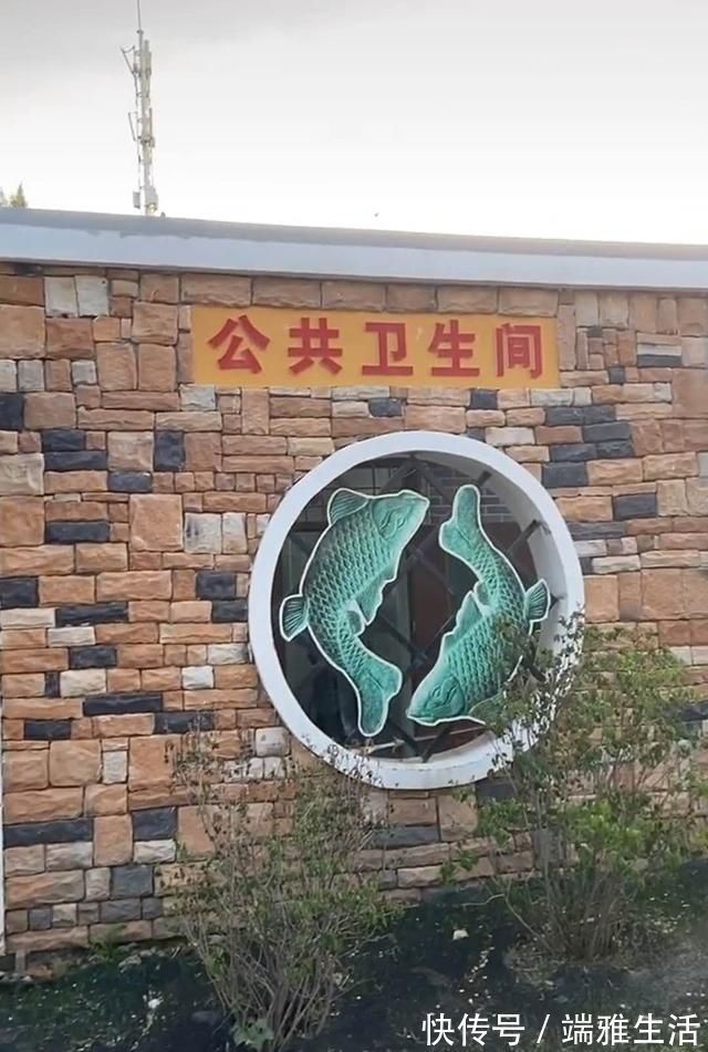 大宝|哥哥带妹妹遛弯突感内急,为安心上厕所,哥哥贴“告示”保护妹妹