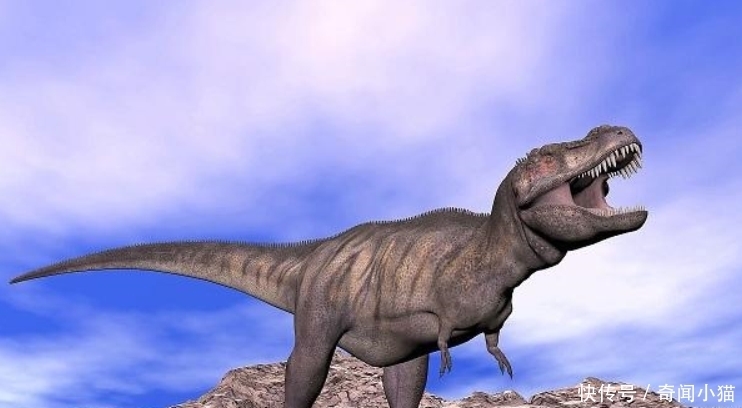 5000万只霸王龙突然出现在地球,会有什么事情发生?