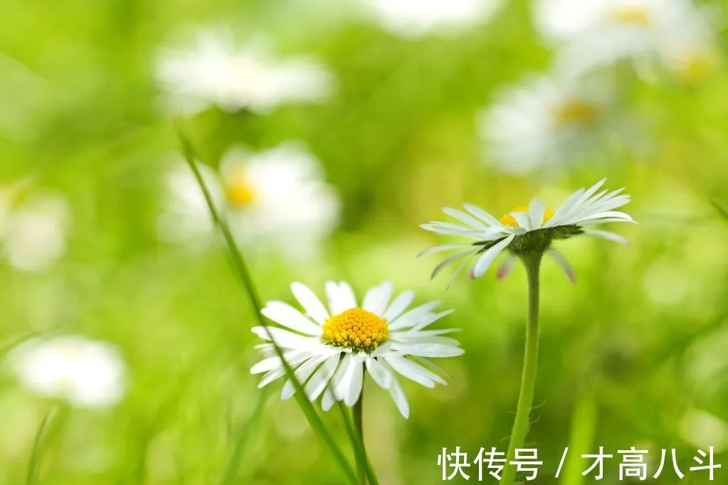 骑马射箭&8首“不服老”诗词:心若年轻,何惧沧桑