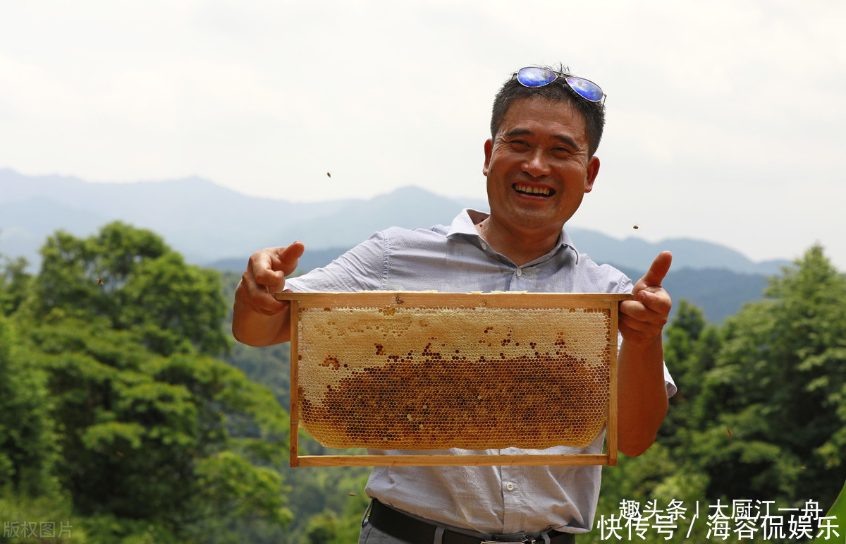 1根筷子就能辨别真假蜂蜜！赶紧来学学吧，参假蜂蜜一试就现原形