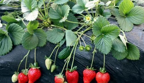 健康长寿|谁说长寿没有“征兆”?60岁以后还能做这4件事情,多半会长寿