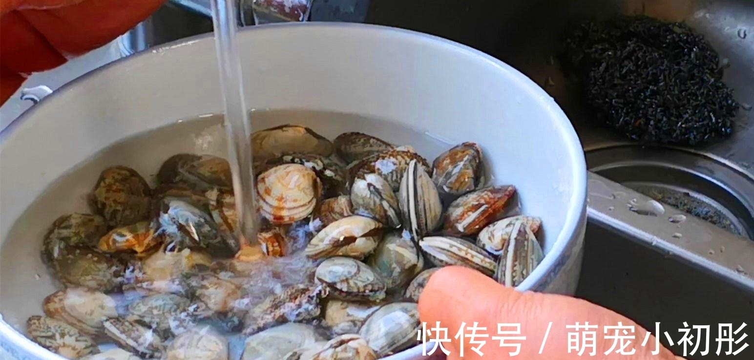 炒花蛤,到底要不要焯水?教你正确做法,花蛤鲜嫩无腥味,特鲜