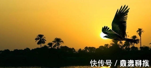 一人之下$千年奇文《寒窑赋》读起:看运气和实力,哪个更重要