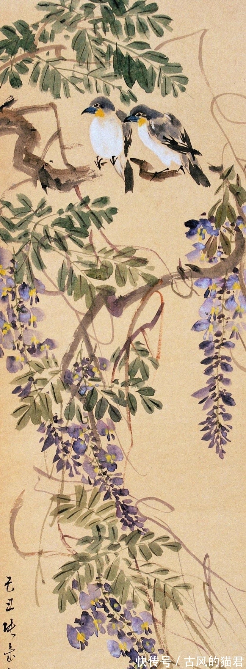 花鸟画!独特的魅力|张书旂花鸟画