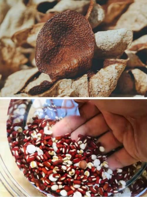 陈皮|入秋了每天在杯里放“一小片”，悄悄给肝脏洗澡，睡眠也好了