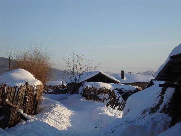 周政|青未了｜散文《老家的雪》