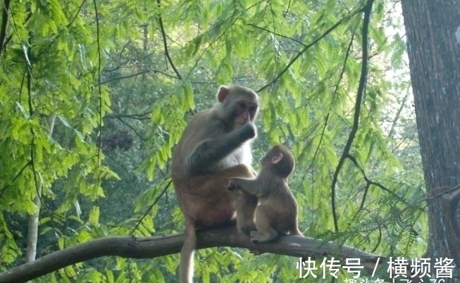 财星|下半年3生肖将有“财星加持”，生活充实丰富，烦恼一扫而空！