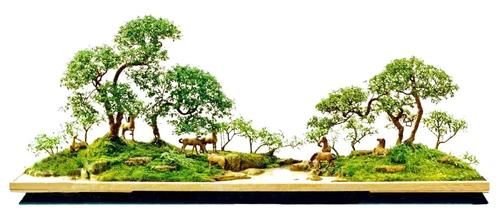 11株苗扎堆，不是柴火，而是一道苍山叠翠山水风光的水旱盆景！