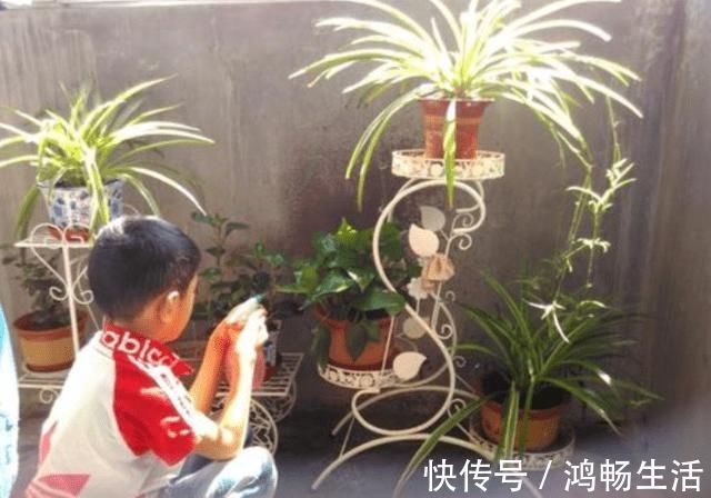 孩子|娃只在夜间咳嗽别慌,3点保证位,小孩脾肺好,一年少得病