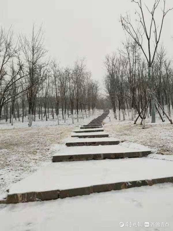 瑞雪兆|济南又下雪了，来看看卧牛山公园附近的雪景