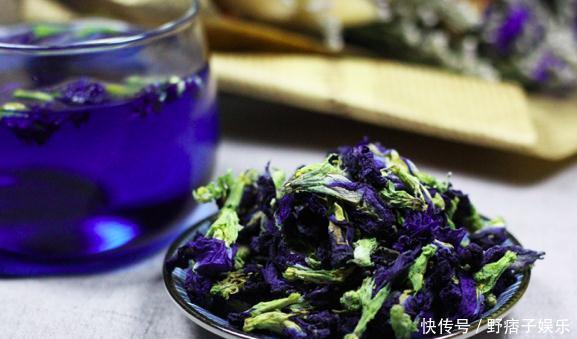 蓝蝴蝶花|肝不好的人，常用此花泡水，睡前一杯，补中益气，肝越来越健康
