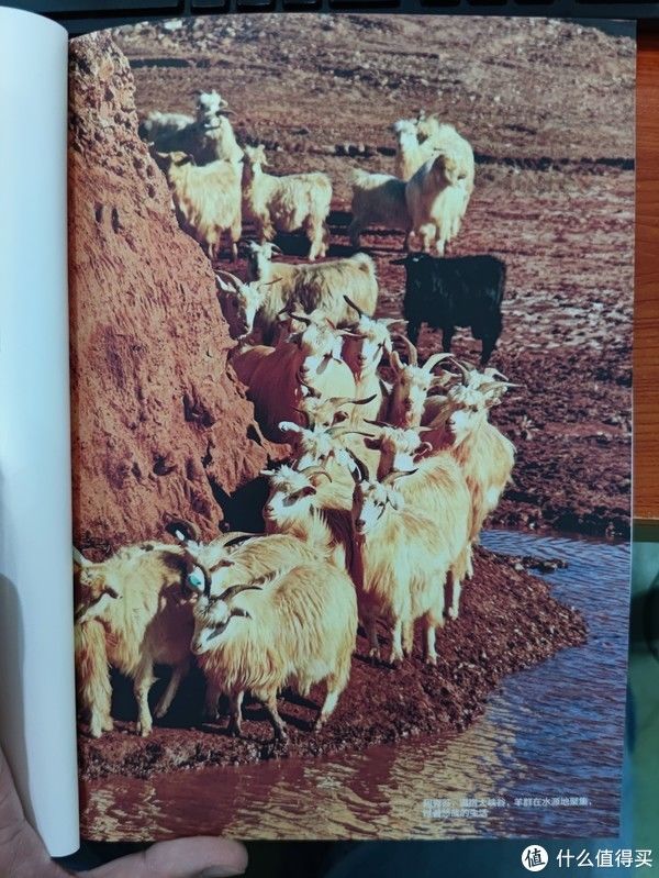 图书馆#图书馆猿の2021读书计划57:《我和我的新疆朋友》