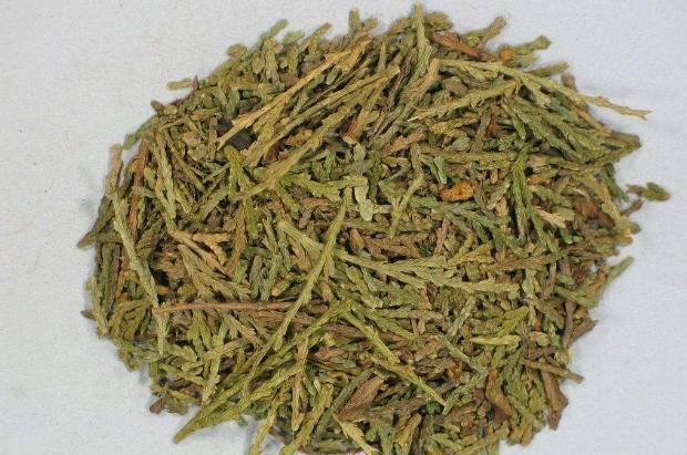 生头发|一味生头发的中药!治斑秃、解全秃,真正的“药中巧匠”