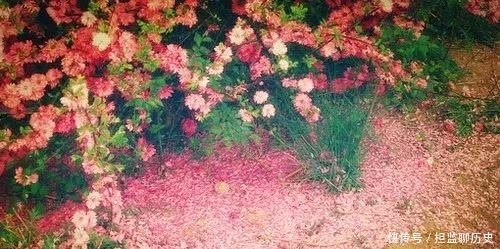 风雨|辛弃疾:更能消、几番风雨,写在《摸鱼儿》里的担忧与愤慨!