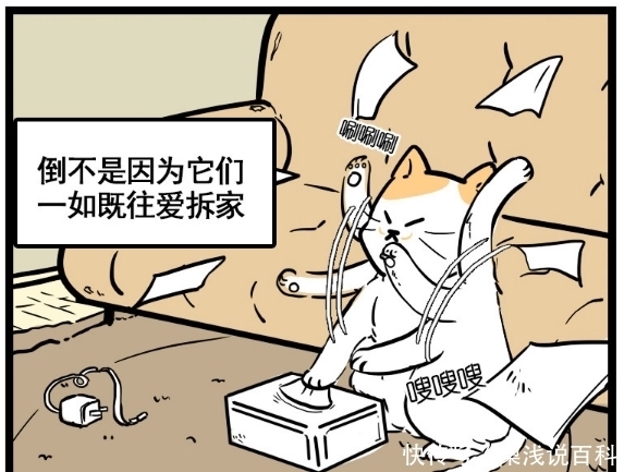 漫画|搞笑漫画：和自家的萌猫通了电，15岁少女有点怀疑人生啊！