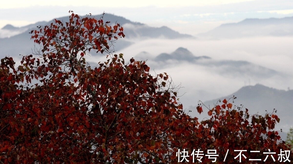 秋雨！唐代诗人韦应物的这首诗，写在秋雨之夜，他想要表达怎样的情感？