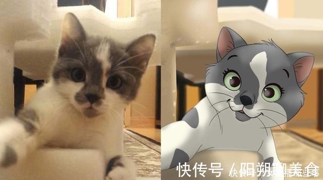 宠物照|迪士尼化宠物照,画家笔下的小家伙们就像是动画片中的角色一样