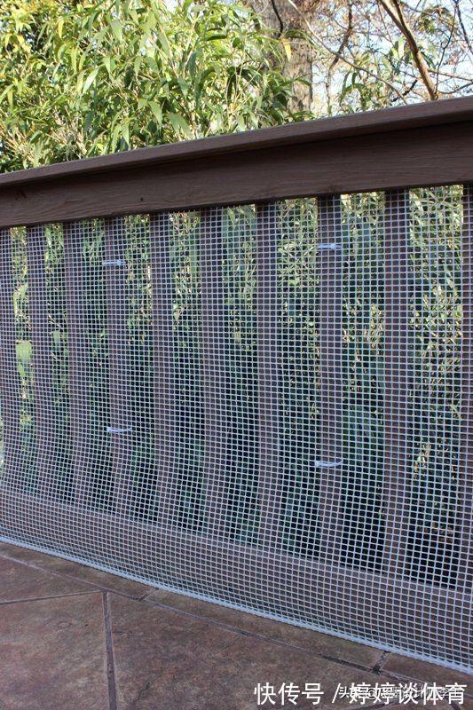 物业|小区不准封阳台，为了孩子，我花80块钱铺层防护网，物业也夸安全