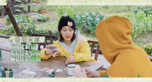 彭昱畅 《向往5》杨紫张艺兴互动太甜,全员都在磕CP,网友喊话在一起