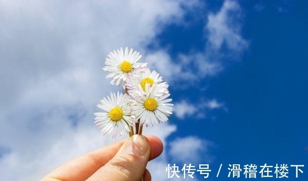 白羊座|还有二周，桃花如雨，天涯海角，旧爱难舍，执手相依，深情相拥