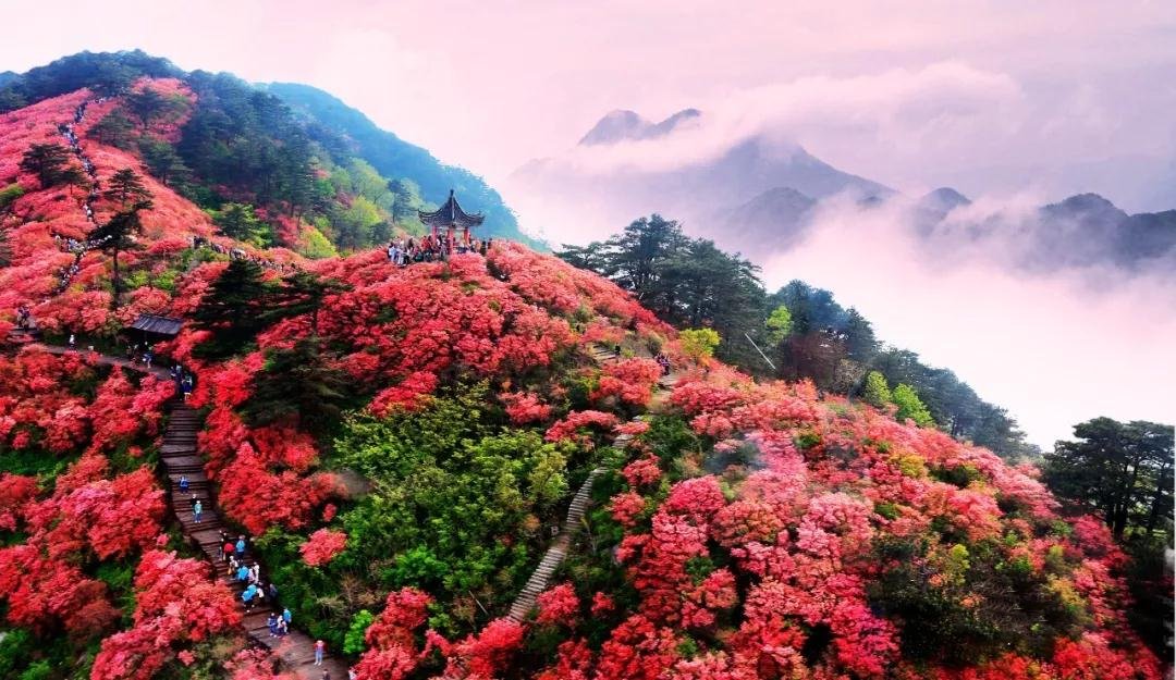 初夏，龟峰山依旧值得！门票降价，新景点等你来打卡