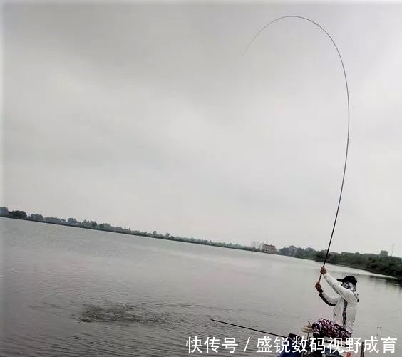 何道理|钓到大鱼不切子线,却切主线是何道理?子线缠绕打结怎样解决