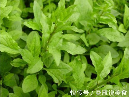 通便|农村遍地都是宝,3种好吃的野菜,润肠通便,排毒养颜,养肝护肝