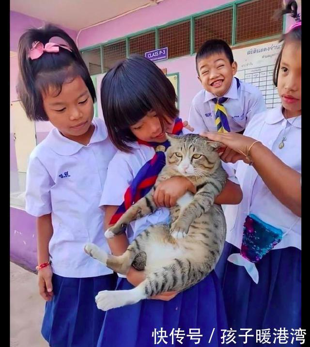 来回|老师把猫带到学校里，它被小朋友抱在怀里来回摸，表情太享受了！