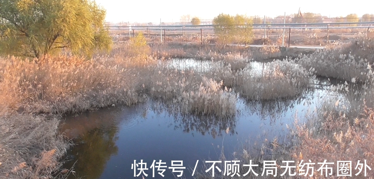 鱼窝都在什么位置?冬季找鱼比打窝更关键,30年老钓友告诉你