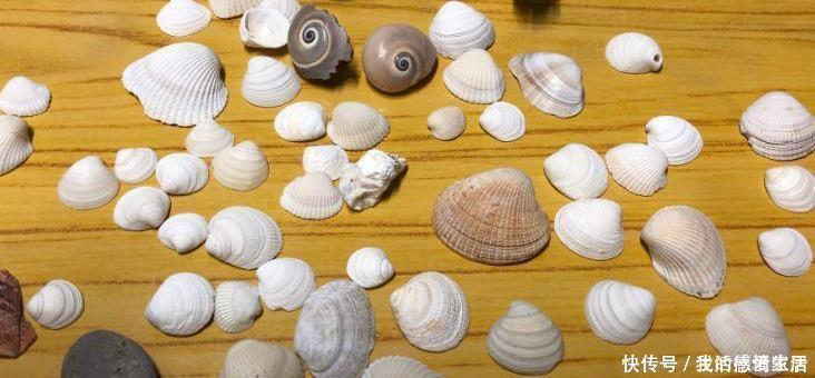 花盆里加点这个,不烂根不黄叶,轻松养满盆