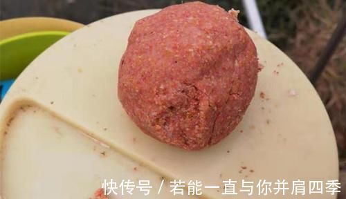 水温|窝中有鱼但是无口，你需要做这些调整，很快就能见效！