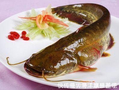 鲢鱼|孕期吃鱼“有讲究”,这3种鱼最好少吃或者不吃,对胎儿有危害