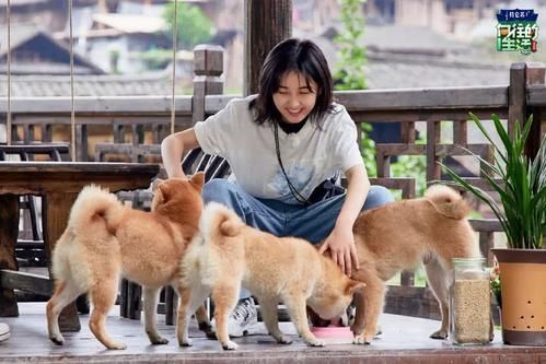 《向往的生活》新一季即将开播，海报中妹妹独自流泪，张艺兴加盟