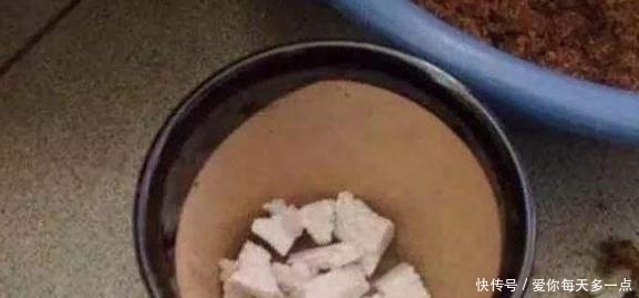 高花盆养花易“烂根”一个破纱网,一个泡沫箱,根系直接长满盆