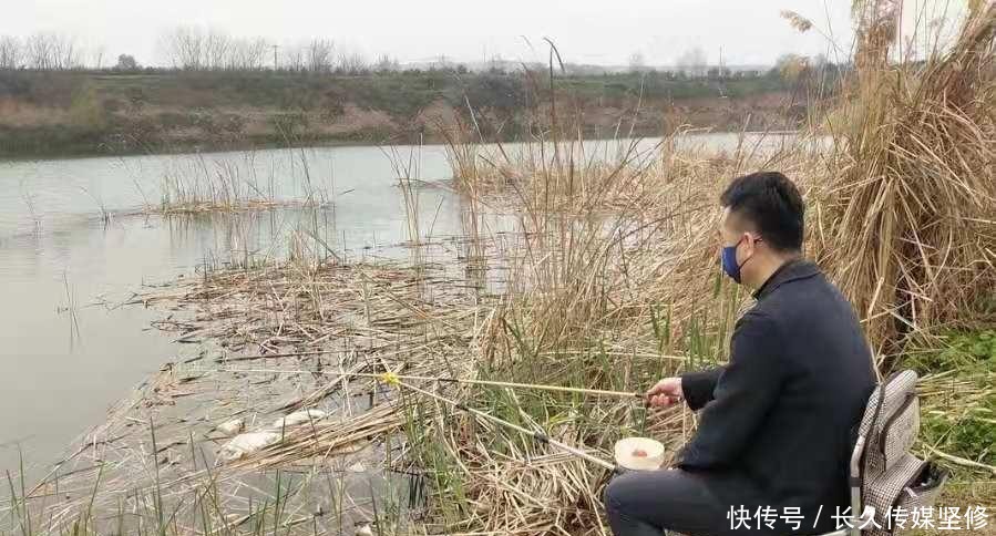 热天必备！这鲤鱼钓法简单易上手，高手们都在用