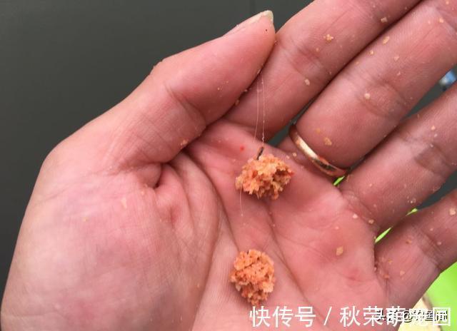 终结者|冬钓鲫鱼用什么商品饵?这5个配方简单又好用,值得一试
