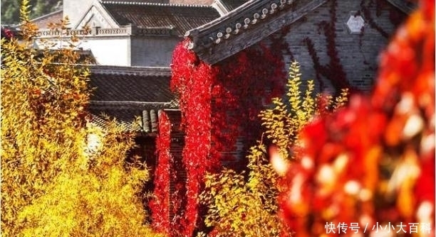 乐趣|秋天的乐趣在哪里？去古北水城泡温泉欣赏红叶