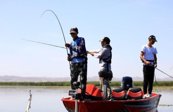 鱼群|“放长线钓大鱼”早落伍！老钓友都流行这样做，每天2小时就鱼获满满