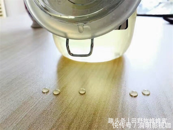 桂花|干桂花能直接浸在蜂蜜里吗干桂花自制蜂蜜桂花酱