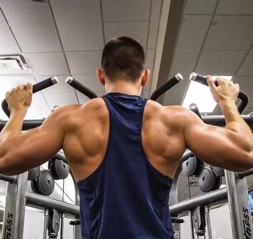 动作|三角肌前束没必要练那么三角肌后束其实也没必要练