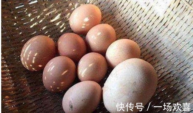 众人|男子喂鸡时发现“巨型”鸡蛋,众人连连称奇,打开蛋后哭笑不得