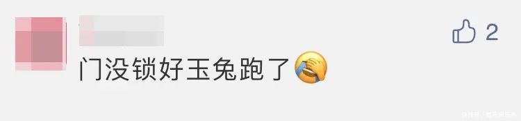 嫦娥 刚回家就被全身贴满“暖宝宝”!今早网友被这张图萌化了