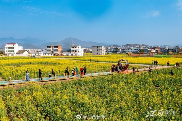 原创（春天的花）春天的花诗句千古名句 第4张