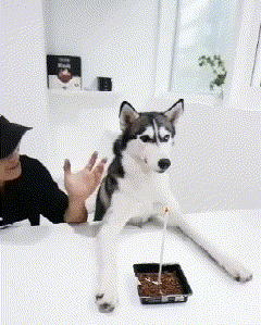 |搞笑GIF趣图:隔着屏幕我都替孩子疼得慌