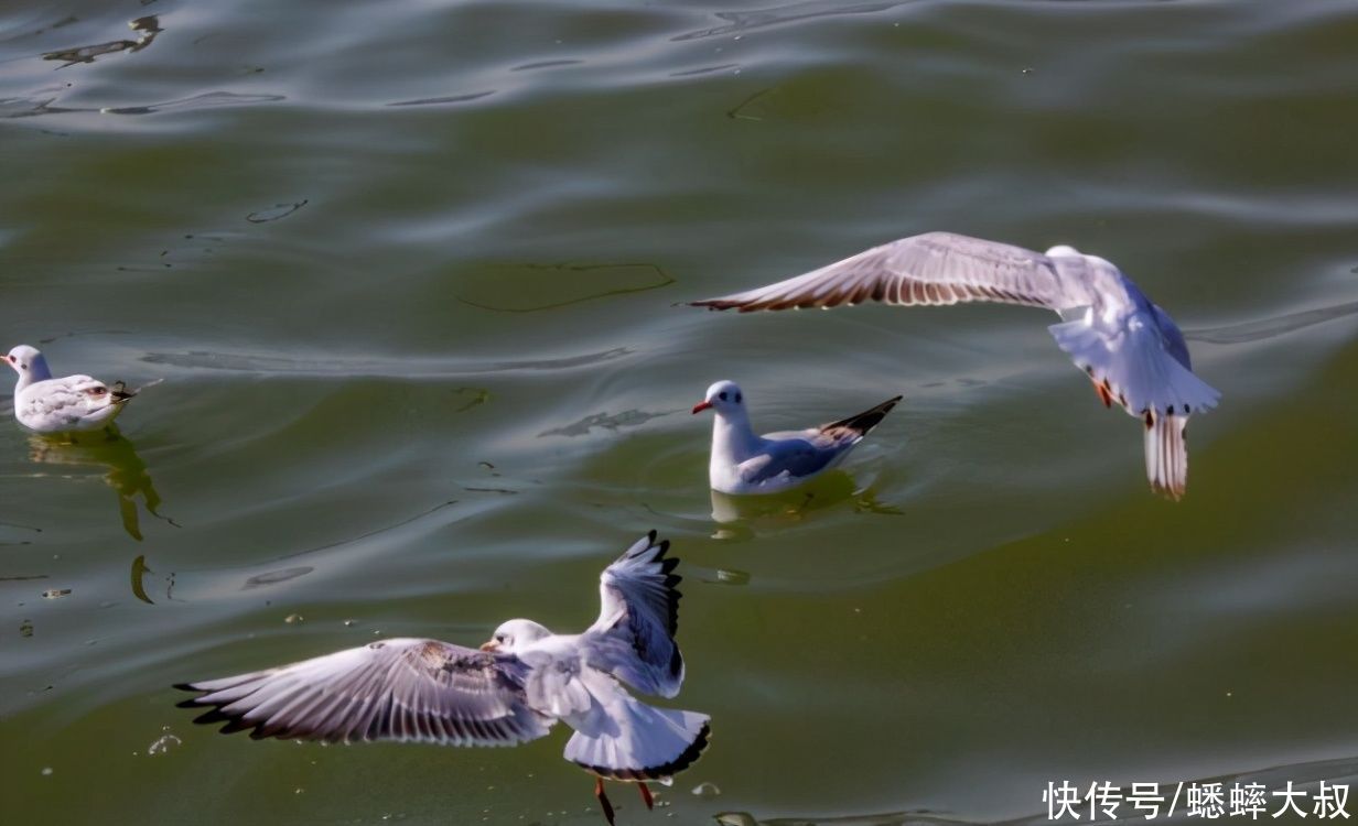 江苏一情侣景点，内部以水绕园，随水赋景，拥有“西湖”游玩乐趣