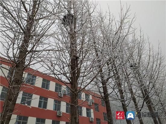 组图|组图｜淄博这场雪用实力说话 这些地方最美