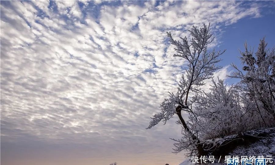 今冬|新华网报道！霍山今冬第一场雪