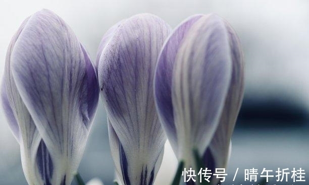 旧爱|往后7天,无尽轮回,互不打扰,牵手旧爱,彼此幸福